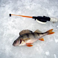 Товары для зимней рыбалки